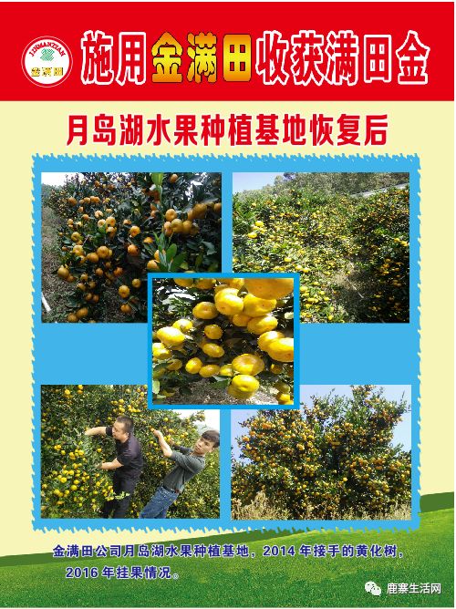 是什么讓這個(gè)基地碩果累累？鹿寨柑橘大咖現(xiàn)場授課，誠邀您來參加
